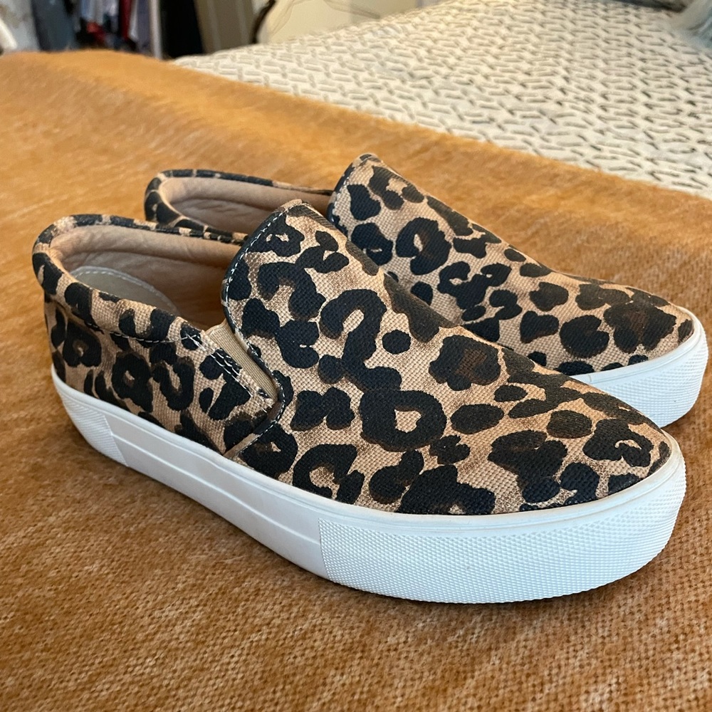 Steve Madden - size 7.5 - cheetah sneakers